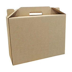 Caja Maleta Escolar 400X160X380