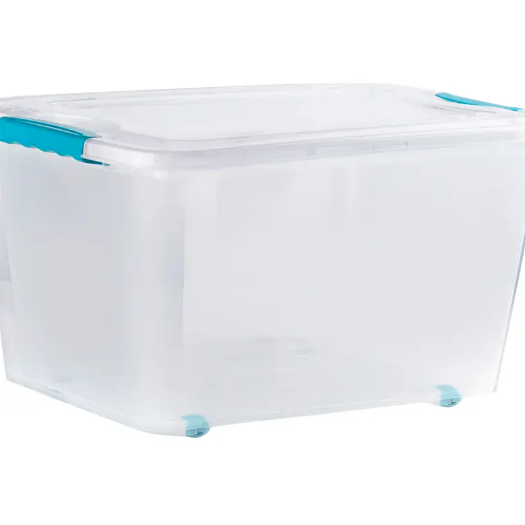 Caja Organizadora 38 Lts Con Seguro 1