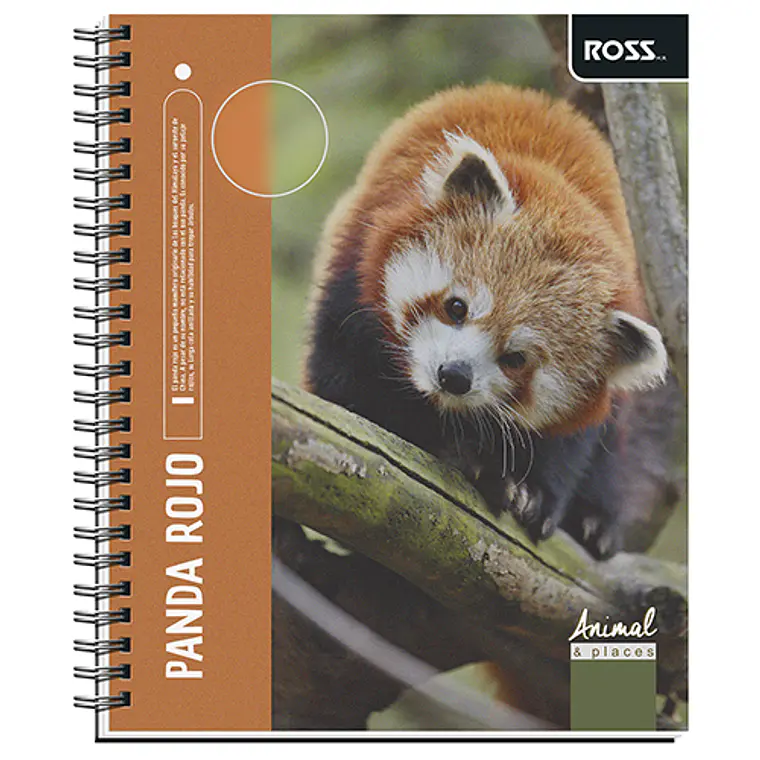 Cuaderno Universitario Ross Ts/Ed Anim&Places 100 Hj 7Mm 1