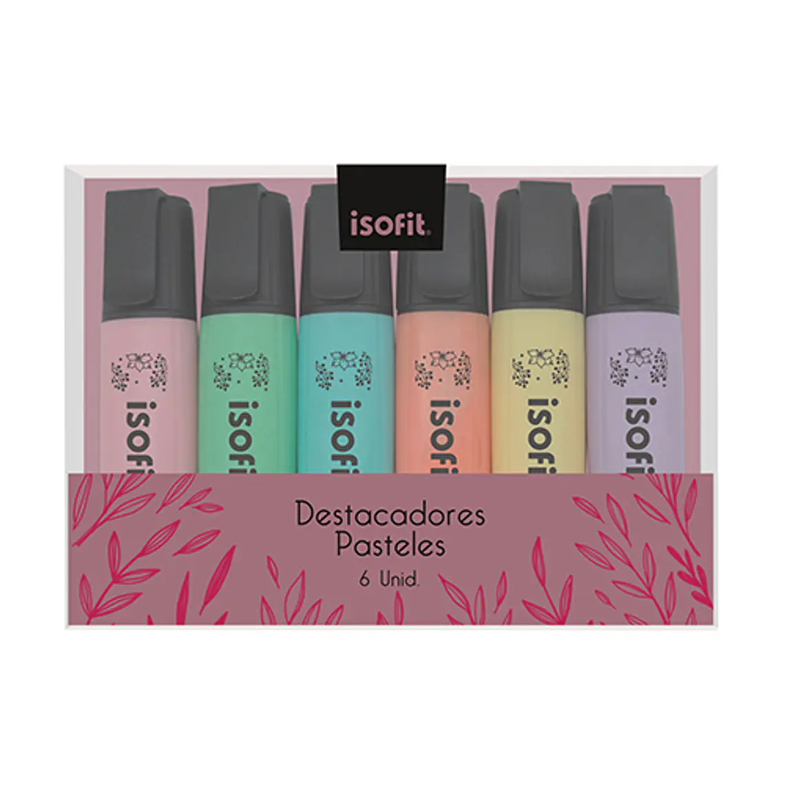 Destacador  Isofit-Dsg/W Petbox 6 Uni 6 Colores 1