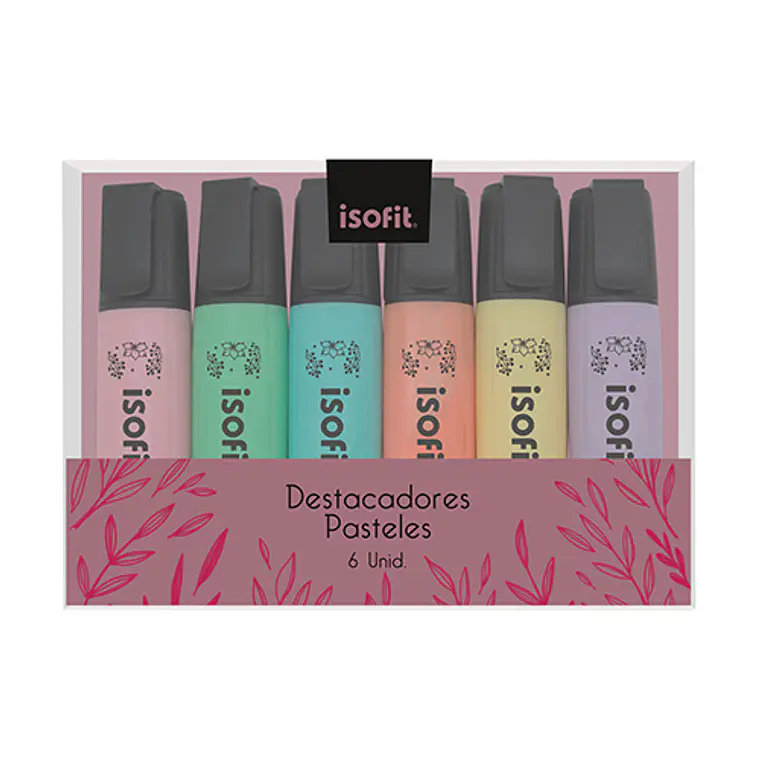 Destacador  Isofit-Dsg/W Petbox 6 Uni 6 Colores 1
