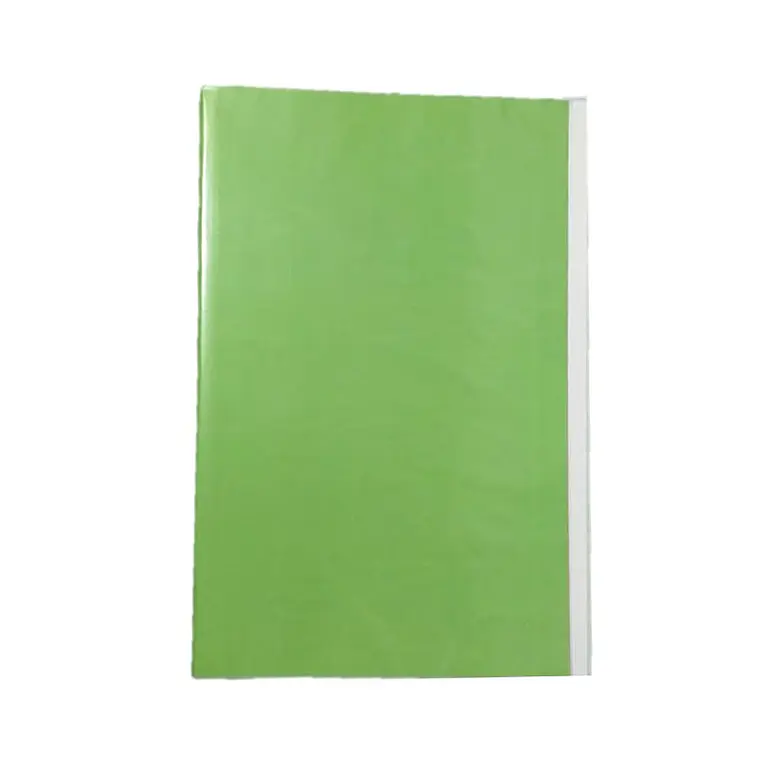 Carpeta Plastificada Con Acloclip Verde Claro   Fogata 1