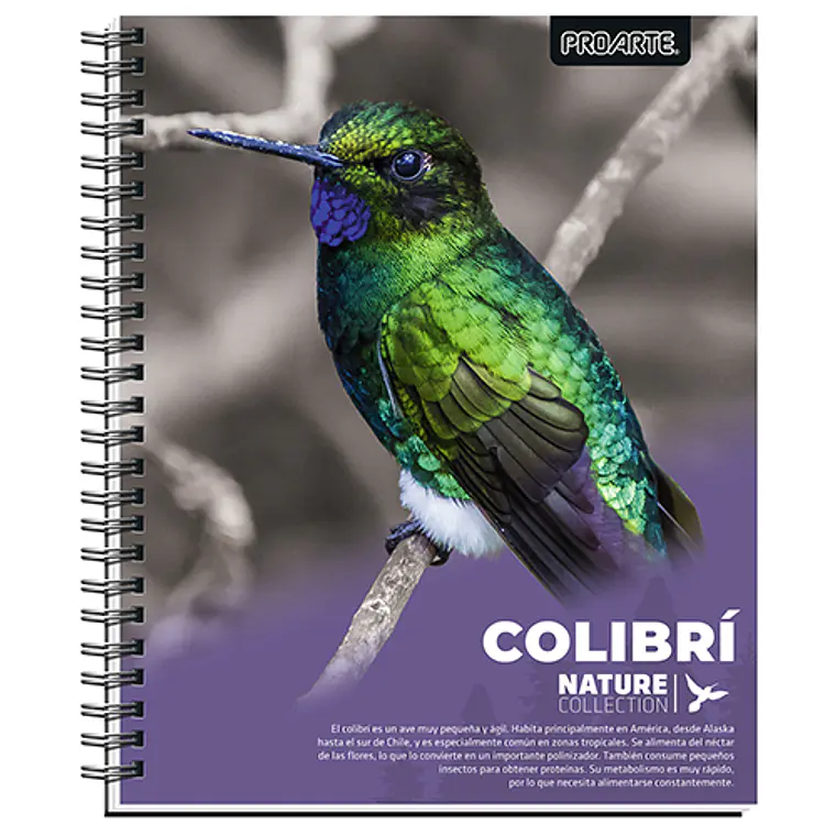 Cuad. Univ Proarte Ted/ Ed Nature 100 Hj 7Mm 1