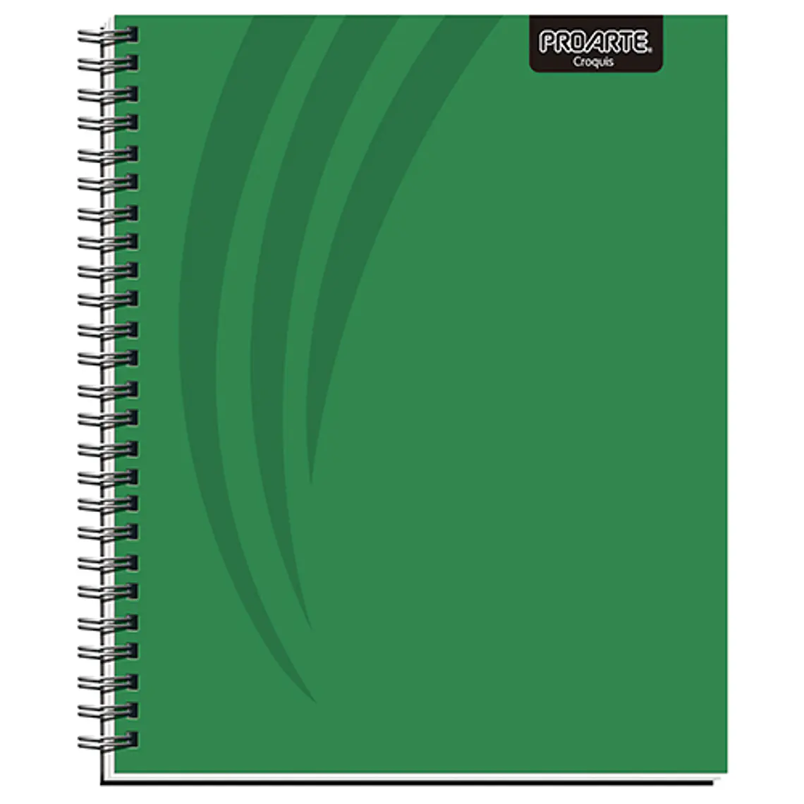 Cuaderno Universitario Proarte Ted/ Ed Liso 100 Hj Croquis 1