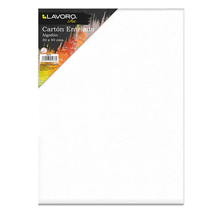 Carton Entelado 30 X 40 Cms Lavoro