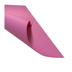 Pliego Cartulina Española 55X77 Rosado Halley