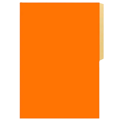 Carpeta Cartulina Pig Naranja Fogata