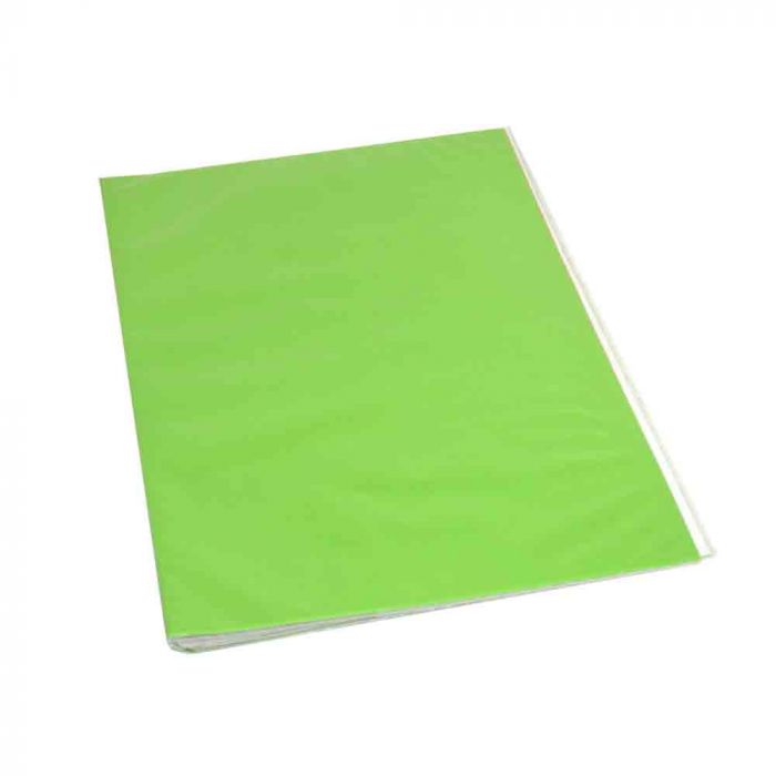 Carpeta Plastificada Con Accoclip Verde Claro Fogata
