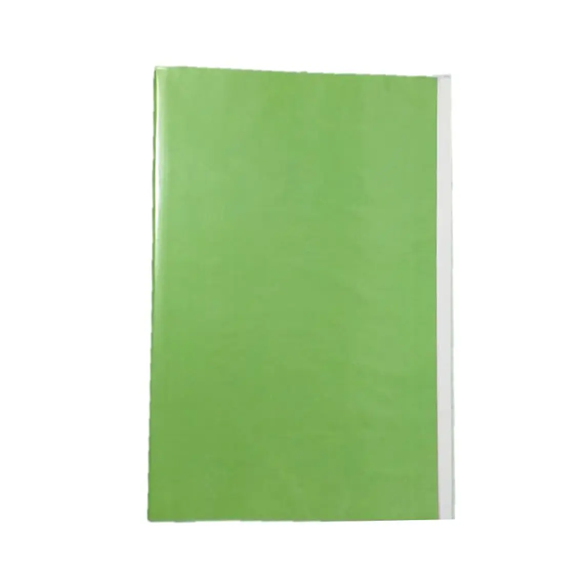 Carpeta Plastificada Con Acloclip Verde Claro   Fogata 1
