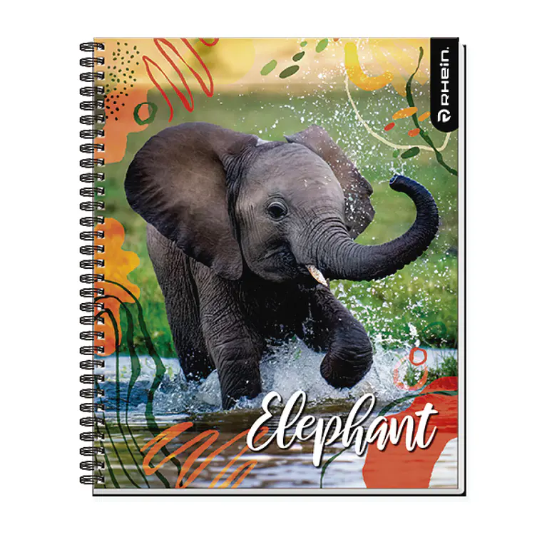 CUADERNO RHEIN UNIV WILD LIFE 100HJ C7MM 4