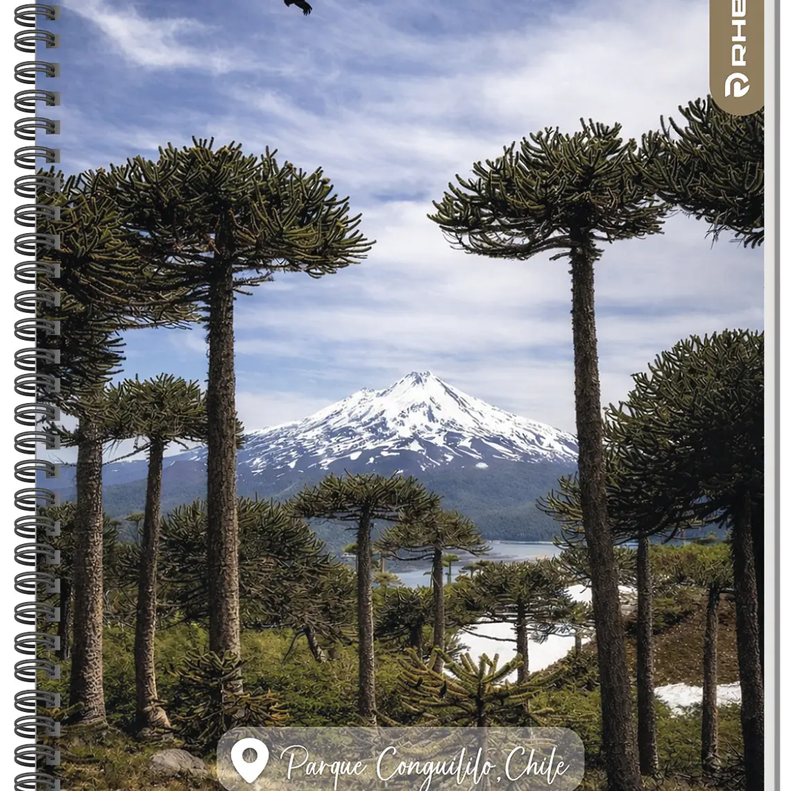 Cuaderno RHEIN Univ Travel 100 HJ 6