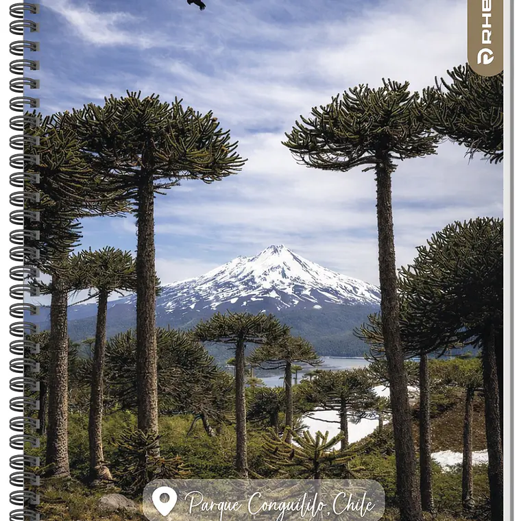 Cuaderno RHEIN Univ Travel 100 HJ 6
