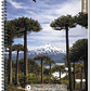 Cuaderno RHEIN Univ Travel 100 HJ - Miniatura 6