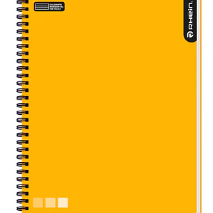Cuaderno RHEIN Univ One Color 100 HJ Caligrafía