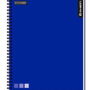 Cuaderno RHEIN Univ One Color 100 HJ Caligrafía