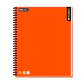 Cuaderno RHEIN Univ One Color Caligrafía Vertical 100 HJ - Miniatura 5