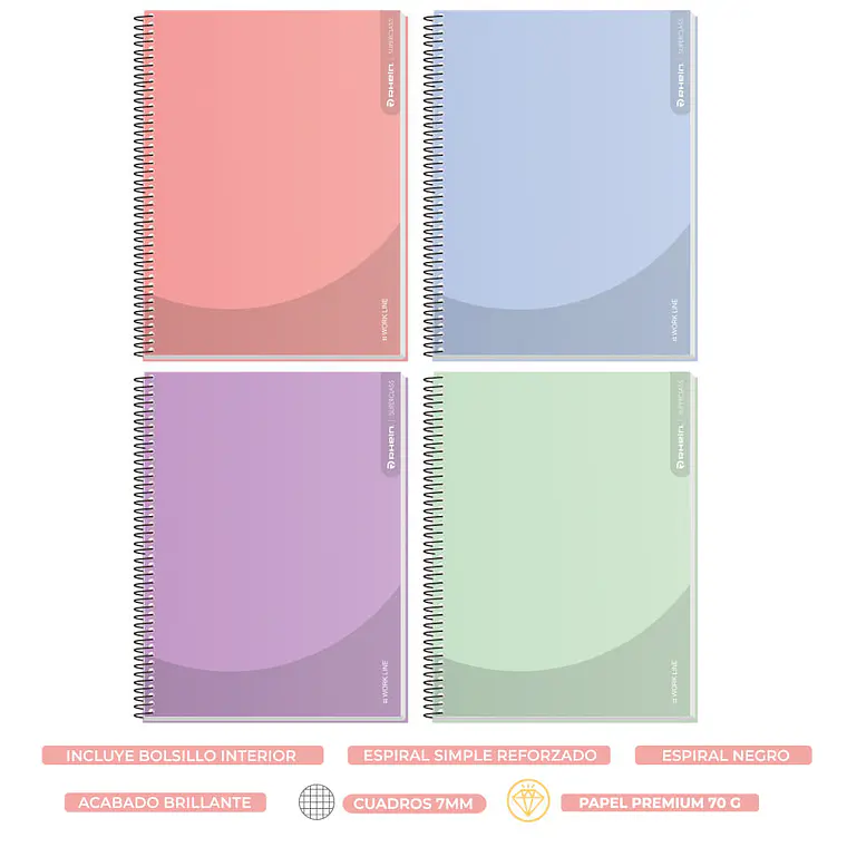 Cuaderno RHEIN Super Class Carta Workline Femme 120 HJ 5