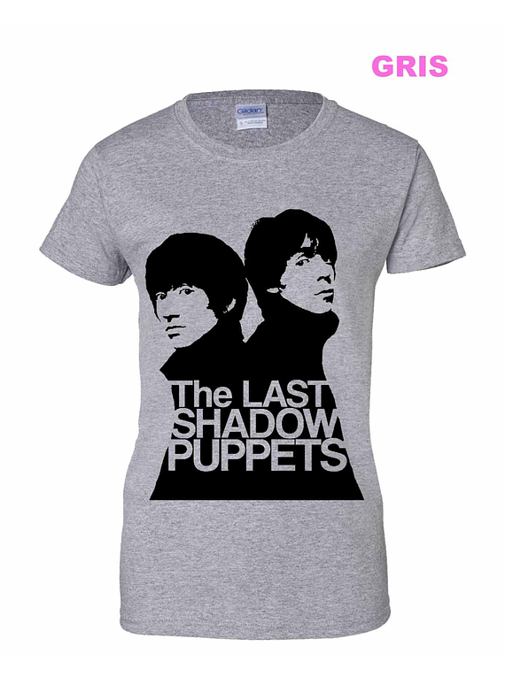 The Last Shadow Puppets