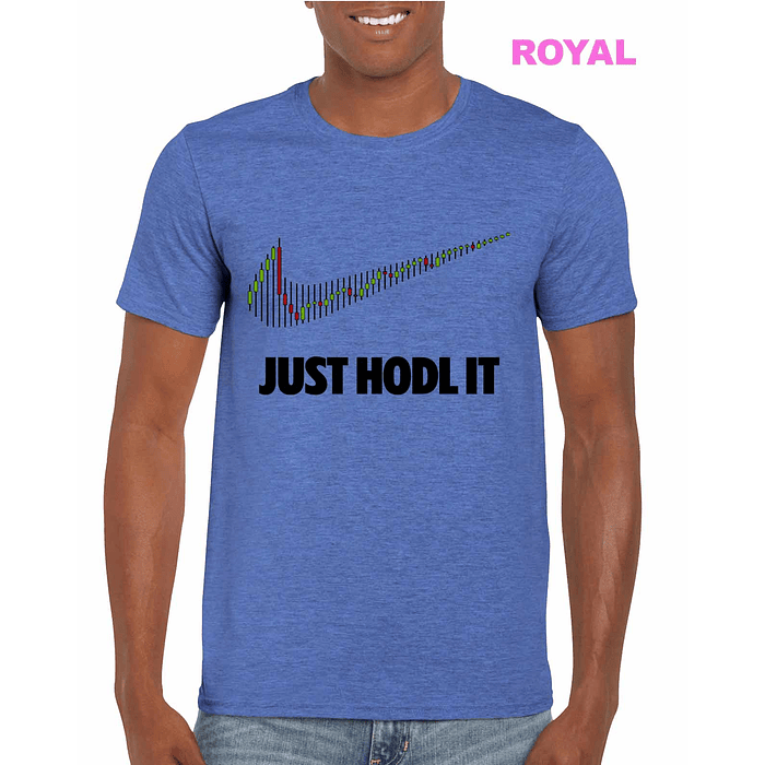Just Hodl It 4