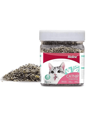 Bioline Catnip Frasco 20gr