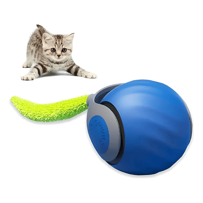 Pelota Automática con Señuelo 2