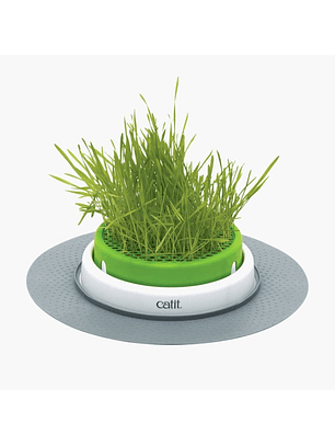 Catit Senses 2.0 Germinador de Pasto