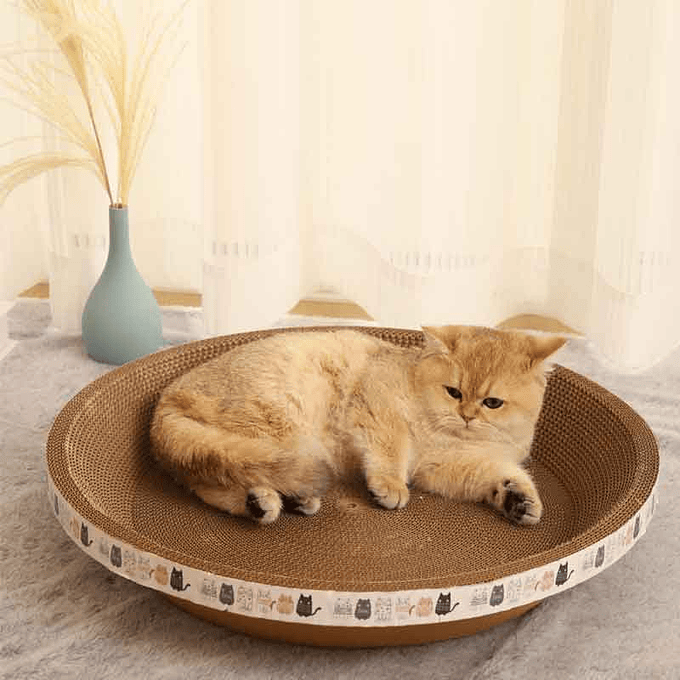 Rascador Redondo Pequeño 2