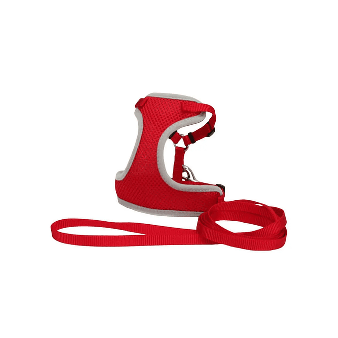 Coastal Comfort Soft Arnés y Correa 3