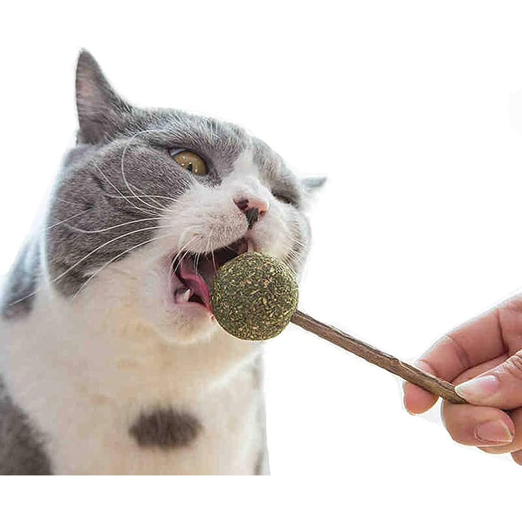 Bioline Matatabi y Catnip Lollipop 1