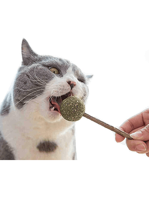 Bioline Matatabi y Catnip Lollipop