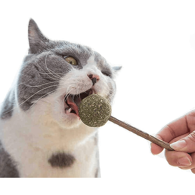 Bioline Matatabi y Catnip Lollipop 1