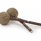 Bioline Matatabi y Catnip Lollipop - Miniatura 2