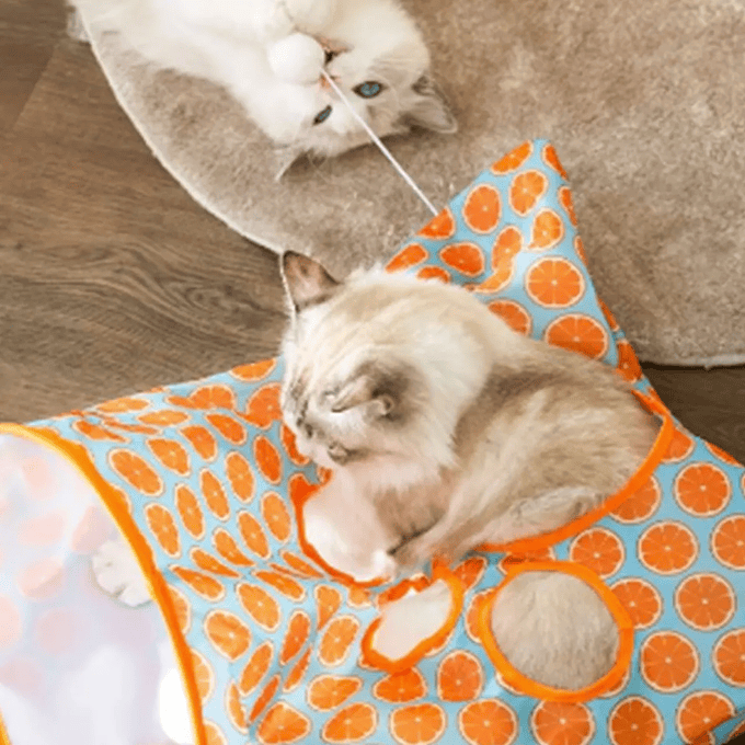 Túnel Pequeño con Textura de Bolsa  4