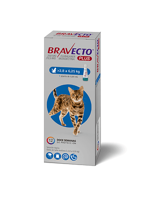 Bravecto Plus Gato 2,8 a 6,5 kg 