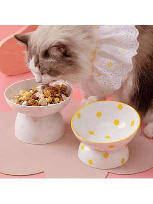 Plato Elevado Cerámica con Lunares