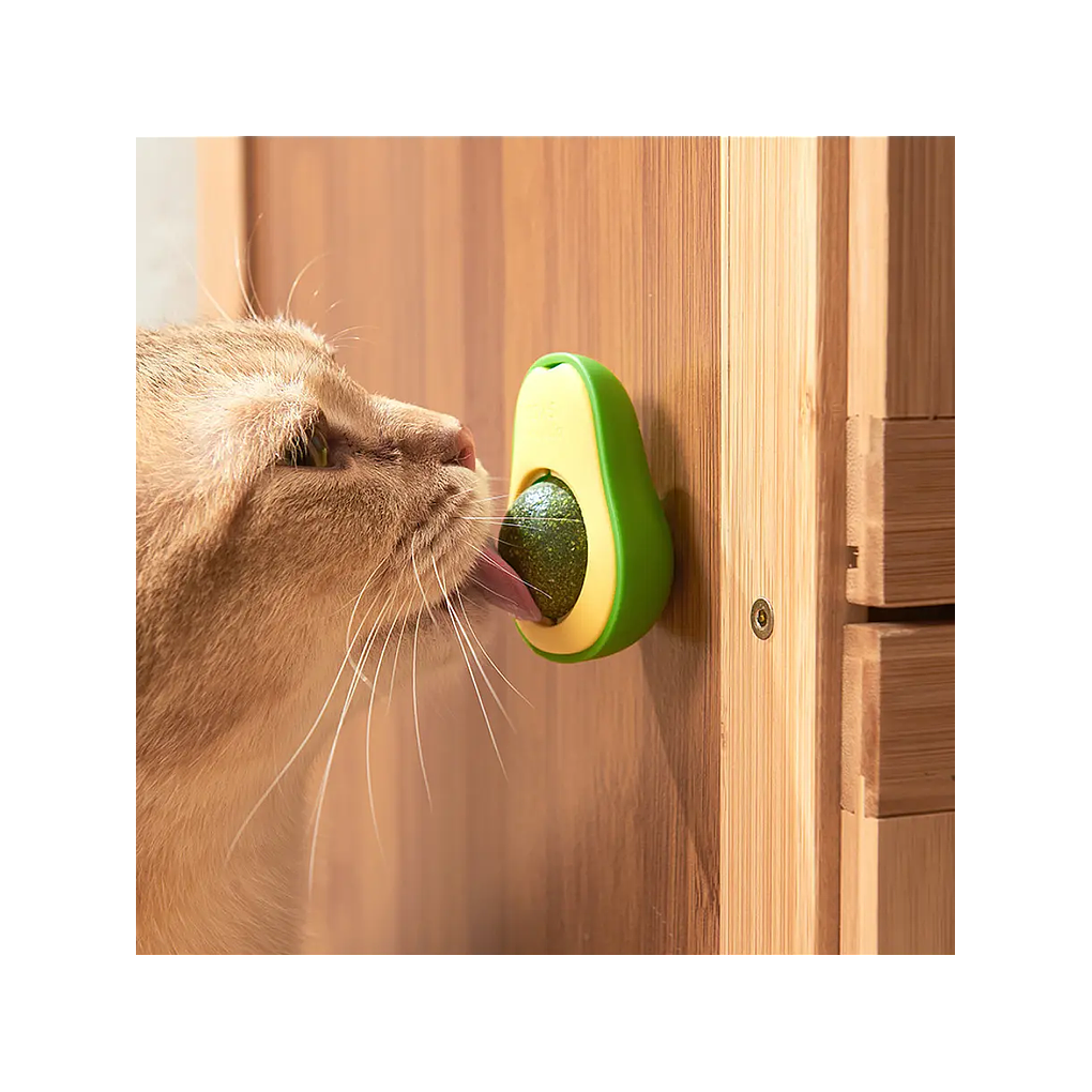 Wonder Cat Bola de Catnip Diseño Palta  2