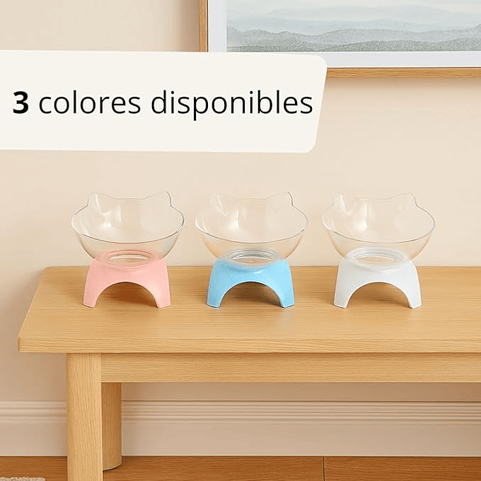 Plato Elevado Plástico Trasparente  4