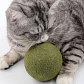 Pelota de Catnip Gigante 8 cm - Miniatura 1