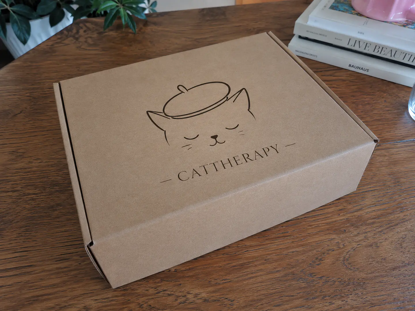 Kit Gatos Artistas  1