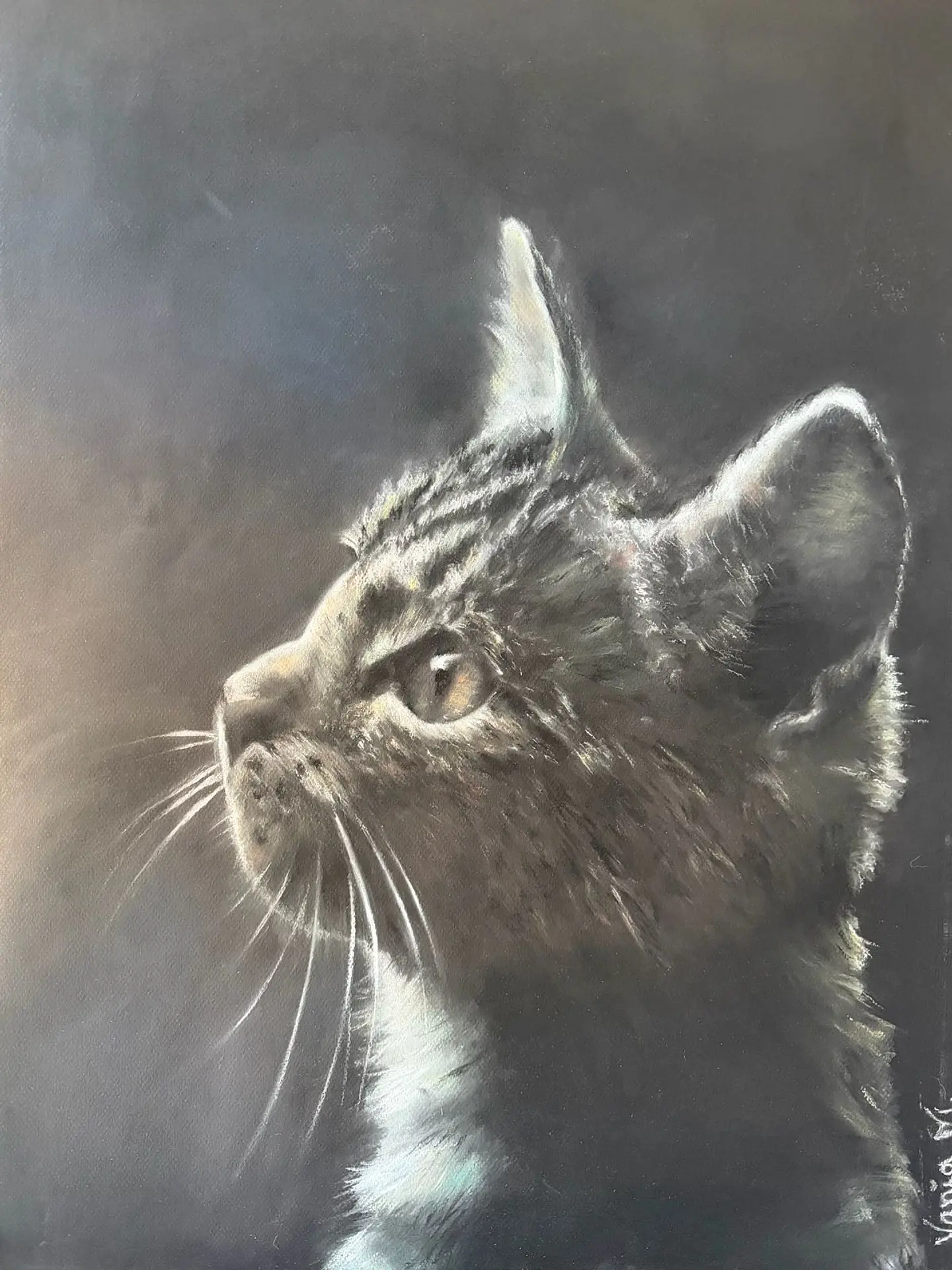 Gato bebé 2