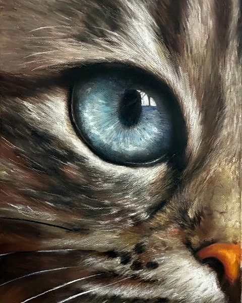 Ojo de gato 