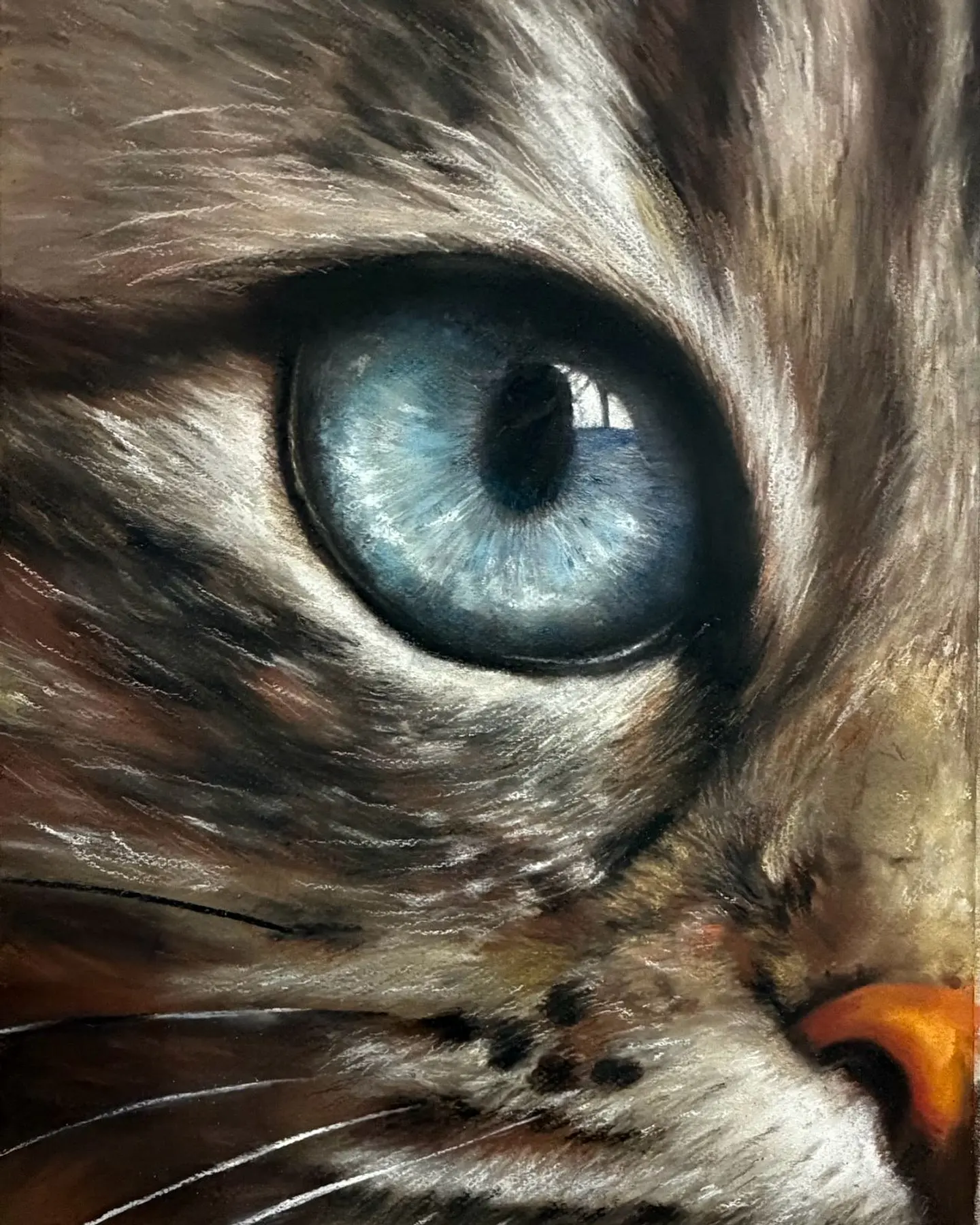 Ojo de gato  1