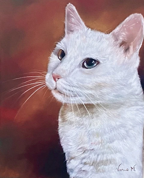 Gato albino 