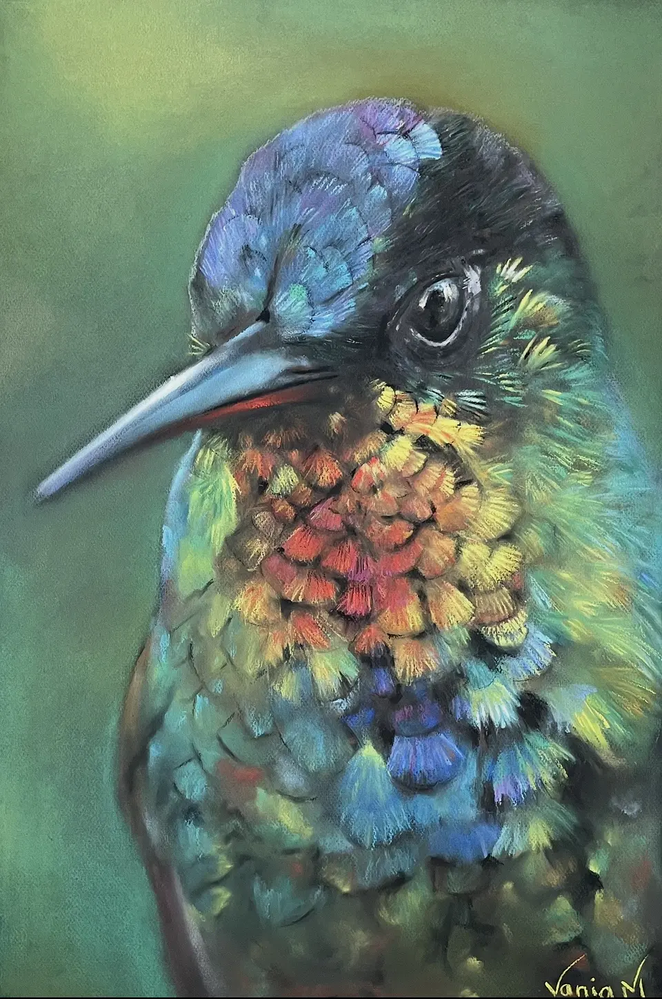 Colibri 2