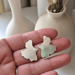 Aros Ginkgo Biloba apegados