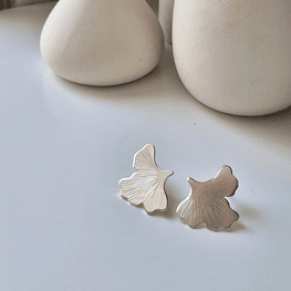 Aros Ginkgo Biloba apegados