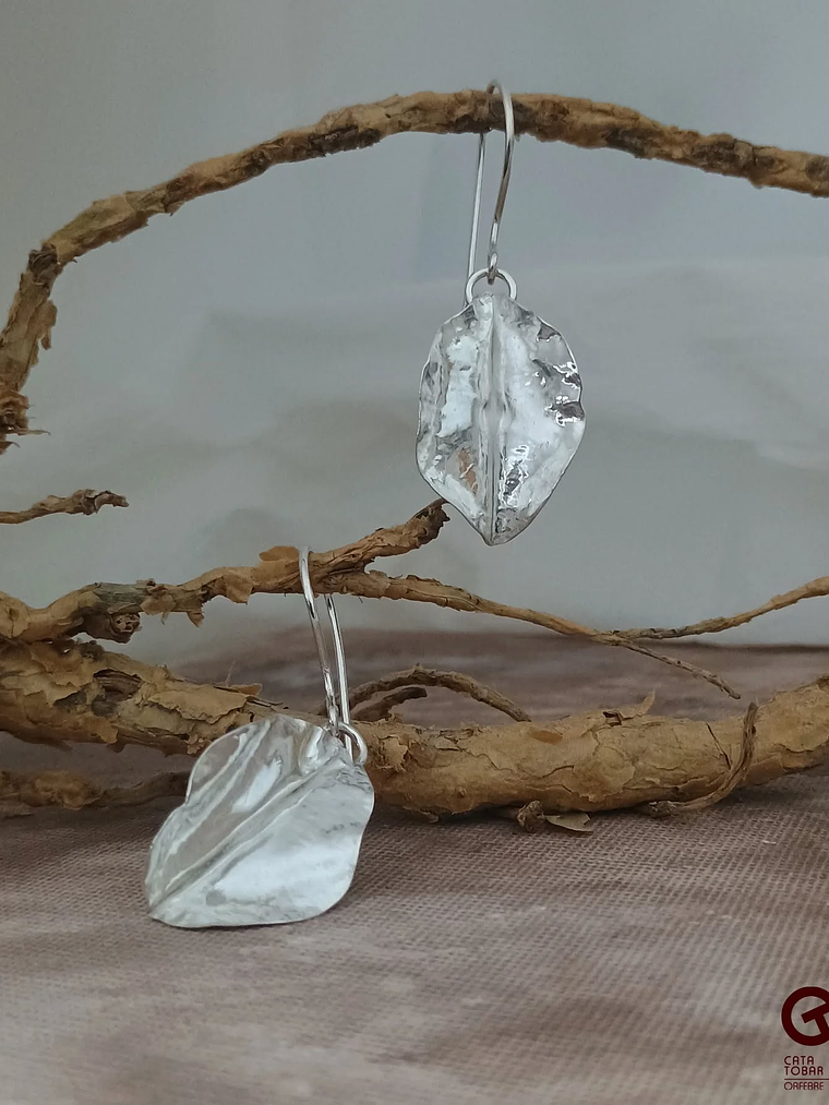 Aros Hoja de Boldo  1