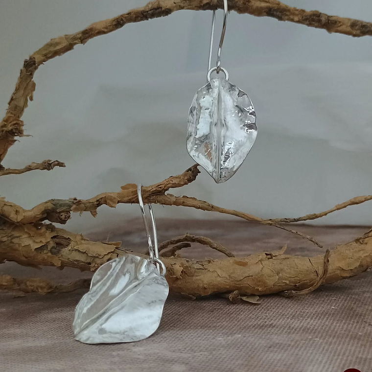 Aros Hoja de Boldo  1