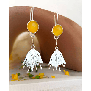 Aros Botón de Chilco 