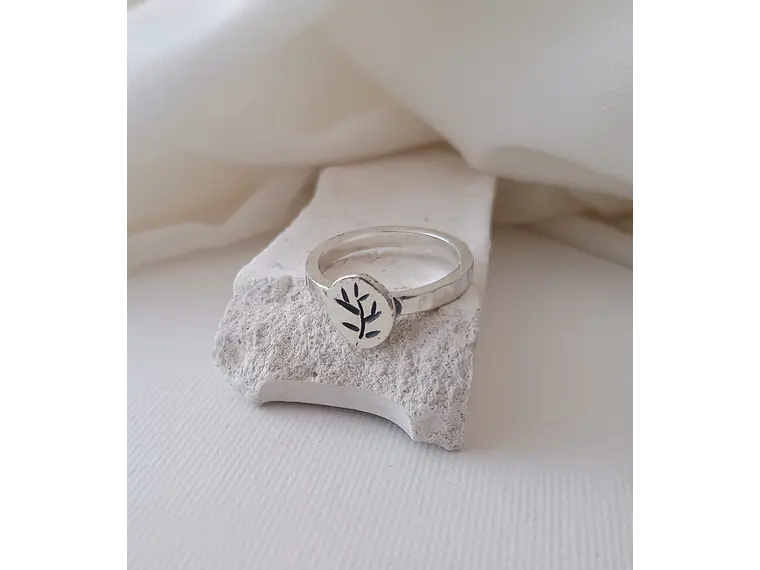 Anillo Raíz 1